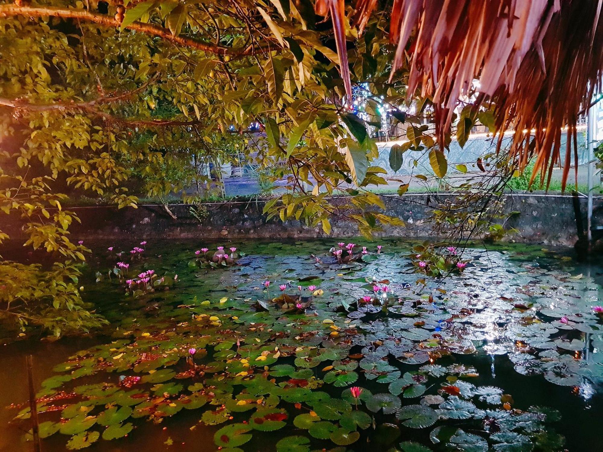 Quoc Khanh Bamboo Homestay Нин Бин Екстериор снимка