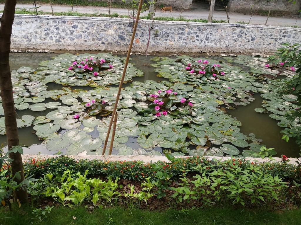 Quoc Khanh Bamboo Homestay Нин Бин Екстериор снимка